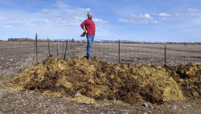 manure pile
