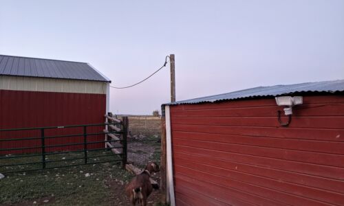 BarnElectrification(1) barn electrification project