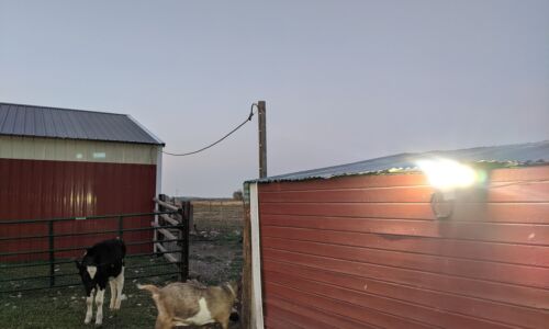 BarnElectrification(2) barn electrification project