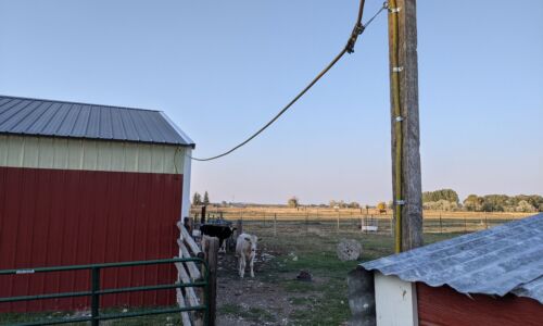 BarnElectrification(5) barn electrification project