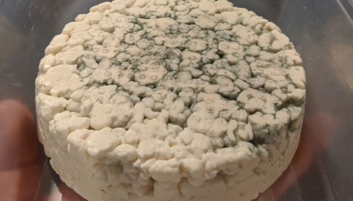 River Rock Farm roquefort