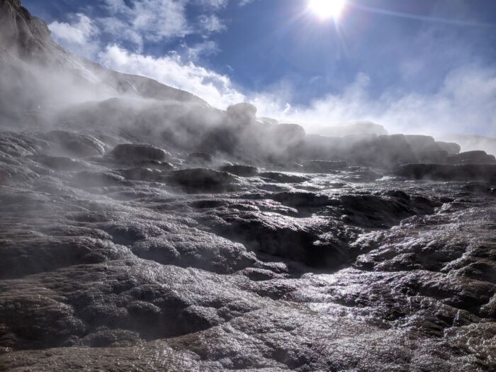 YNPMammoth(1) YNP Mammoth